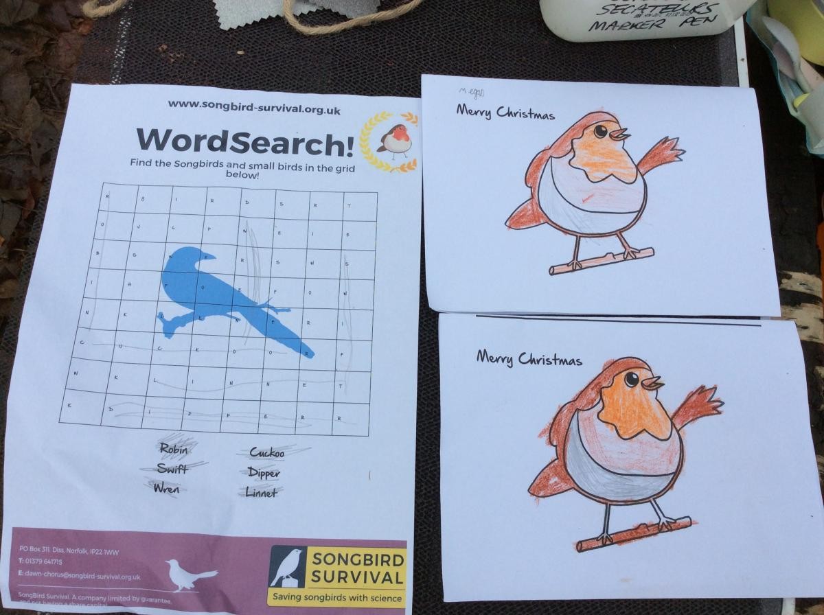 It was' fun week' for the final week of the Ruby Robin Challenge Award. We made some Christmas cards and did a wordsearch.
