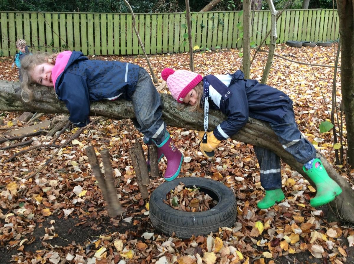 Sitting like sloths on a tree!