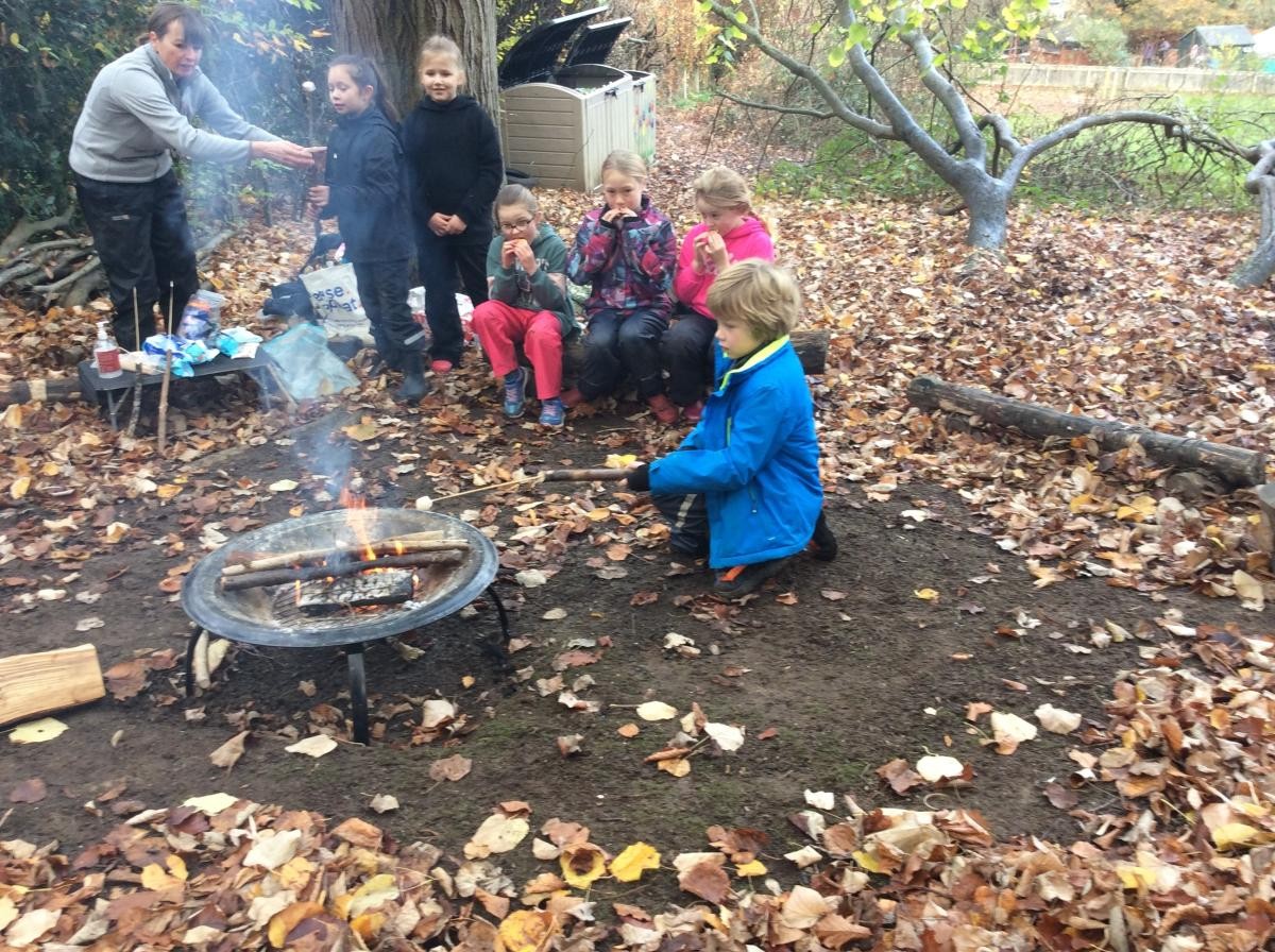 November 15th. Class 2 toasted marshmallows and made s'mores this afternoon.