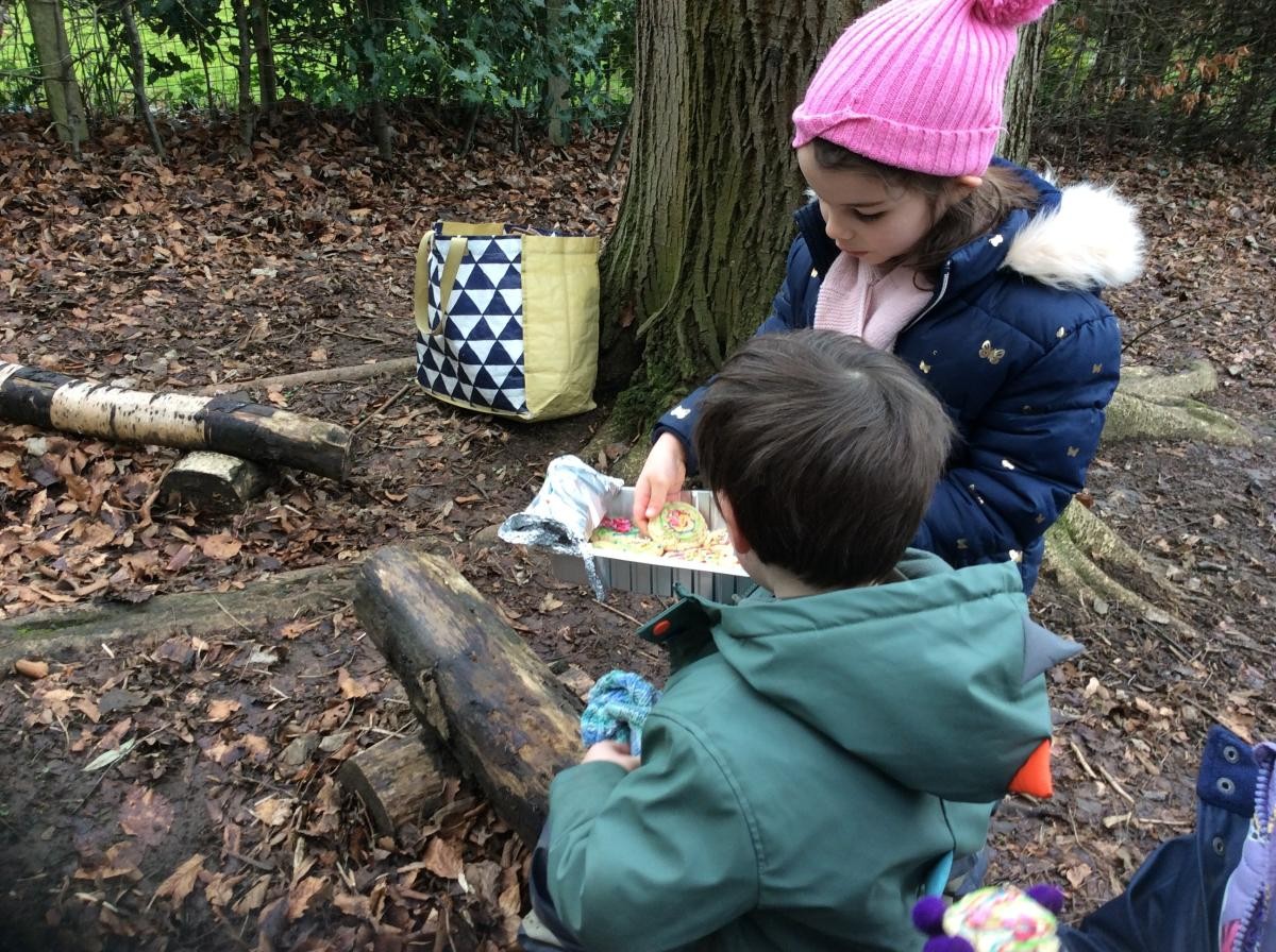 Forest fun