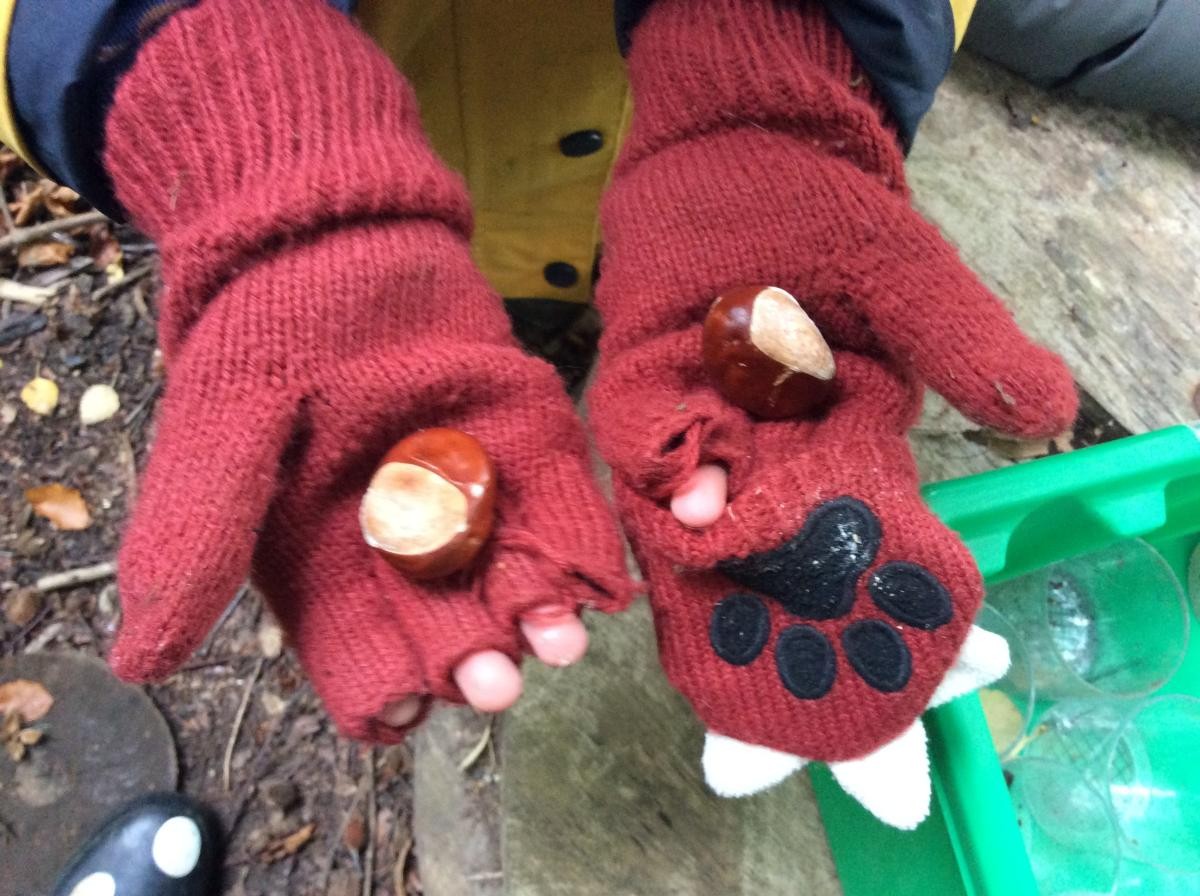 We love conkers!