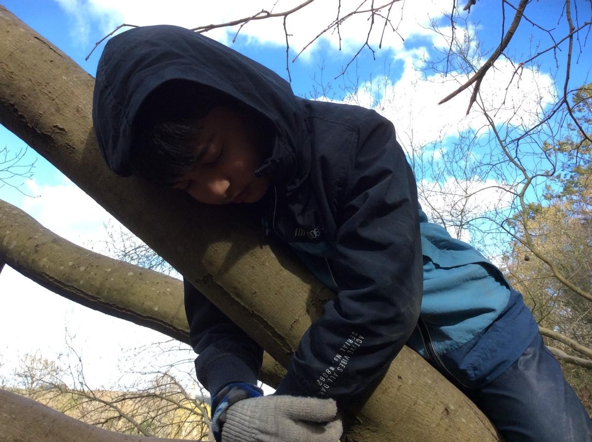 Caught having forty winks in the tree!