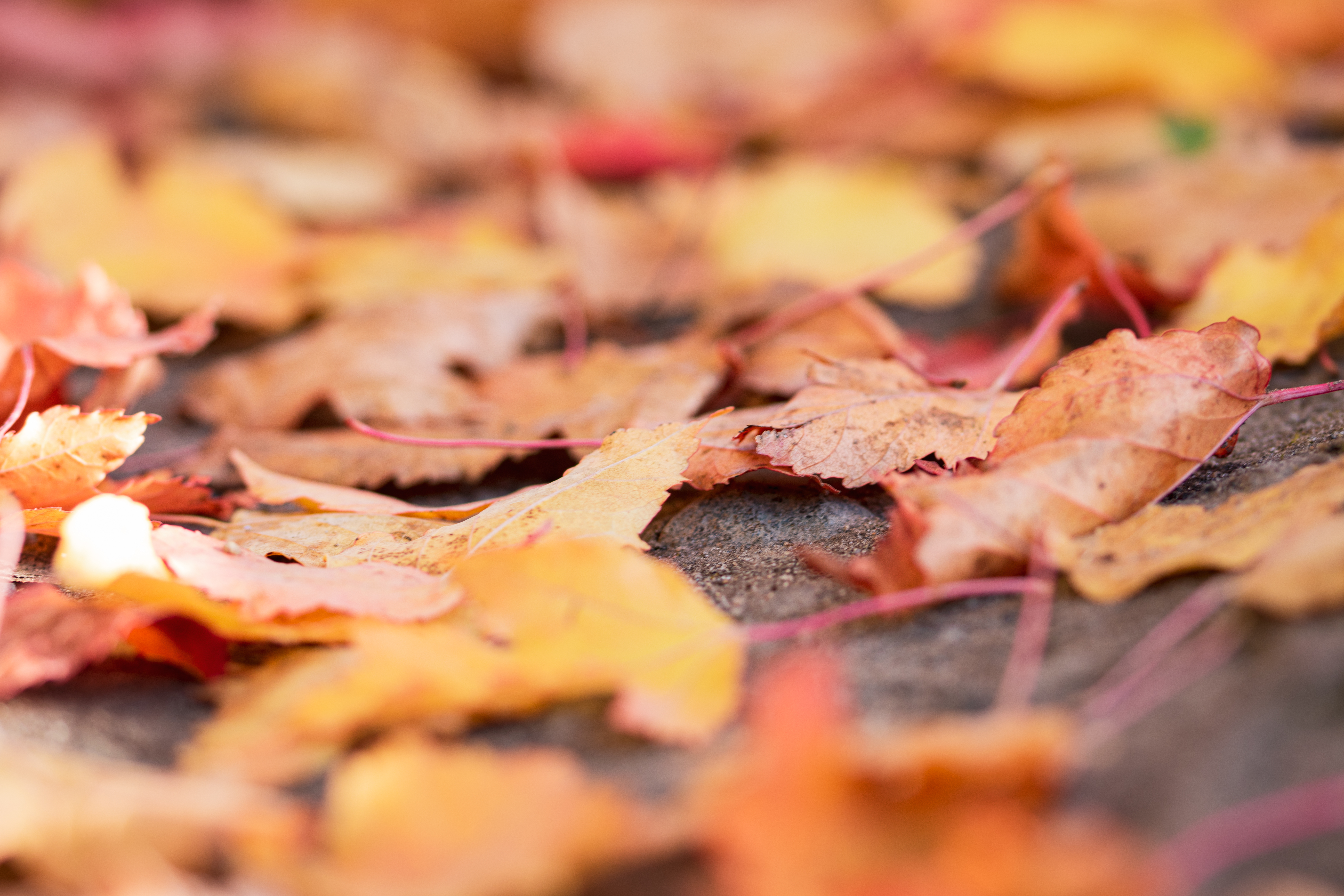 Headteacher's Welcome