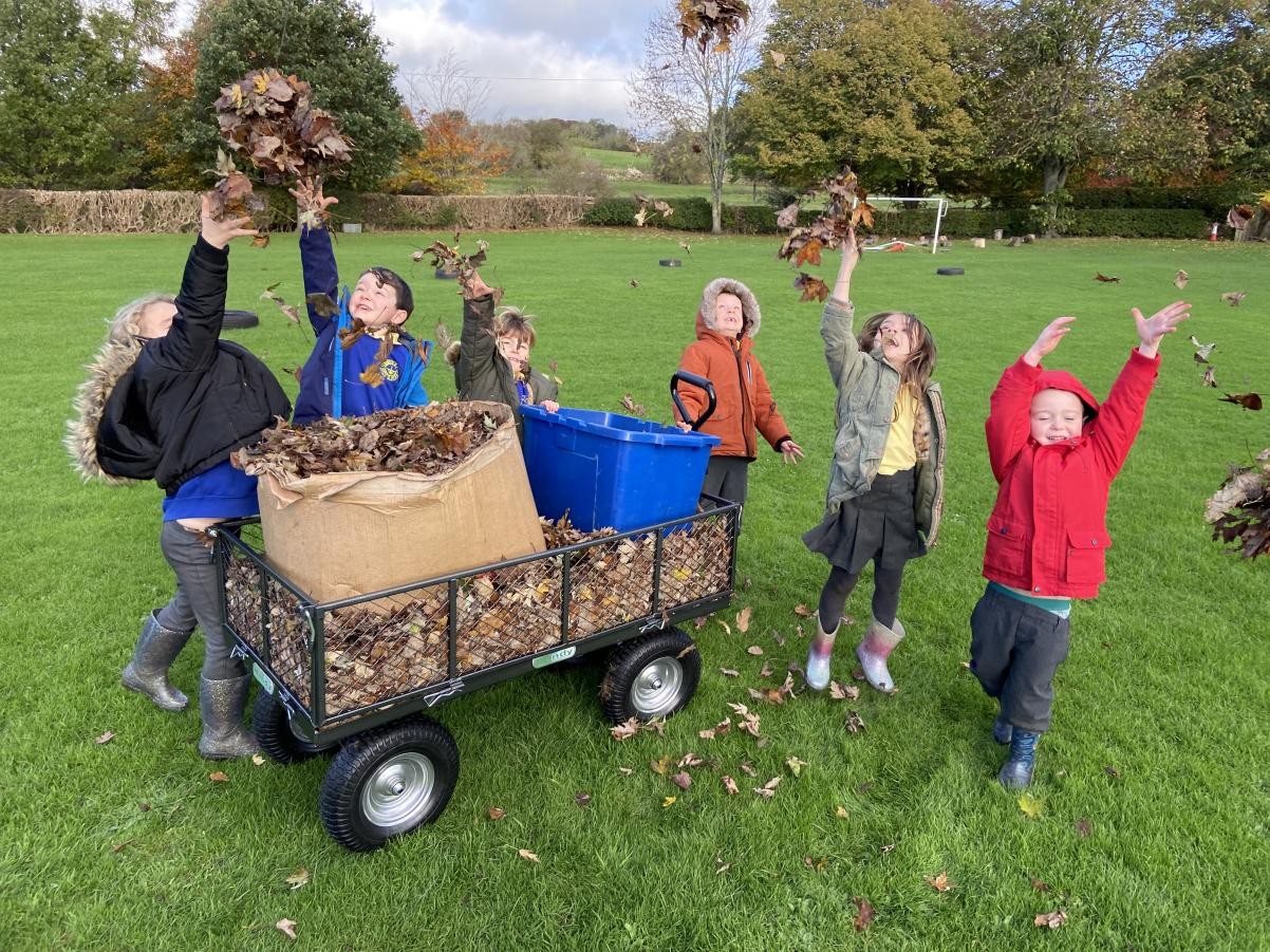 Collecting leaves to build our living wall.