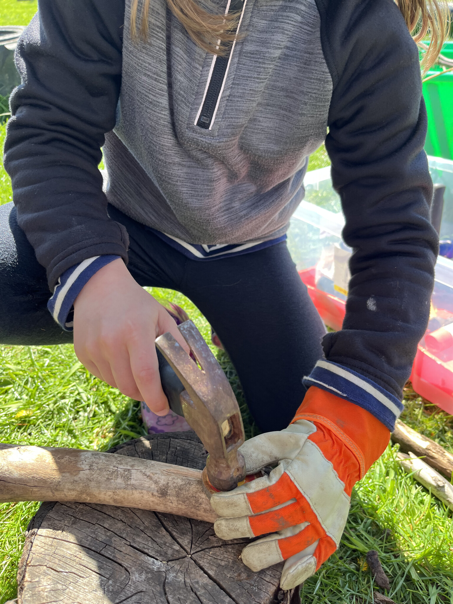 Forest School 2026