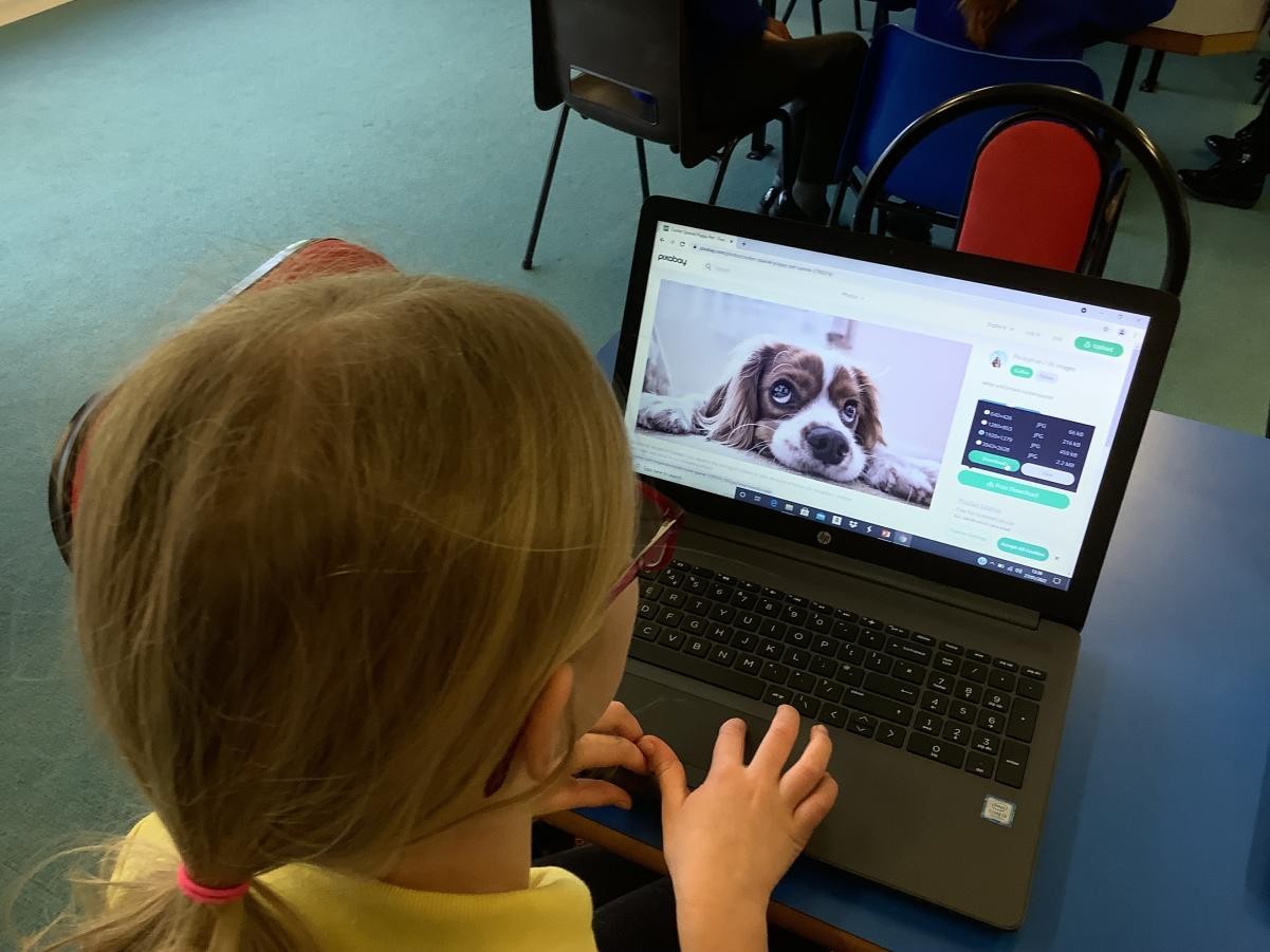 Year 3 - Researching pictures for a blog