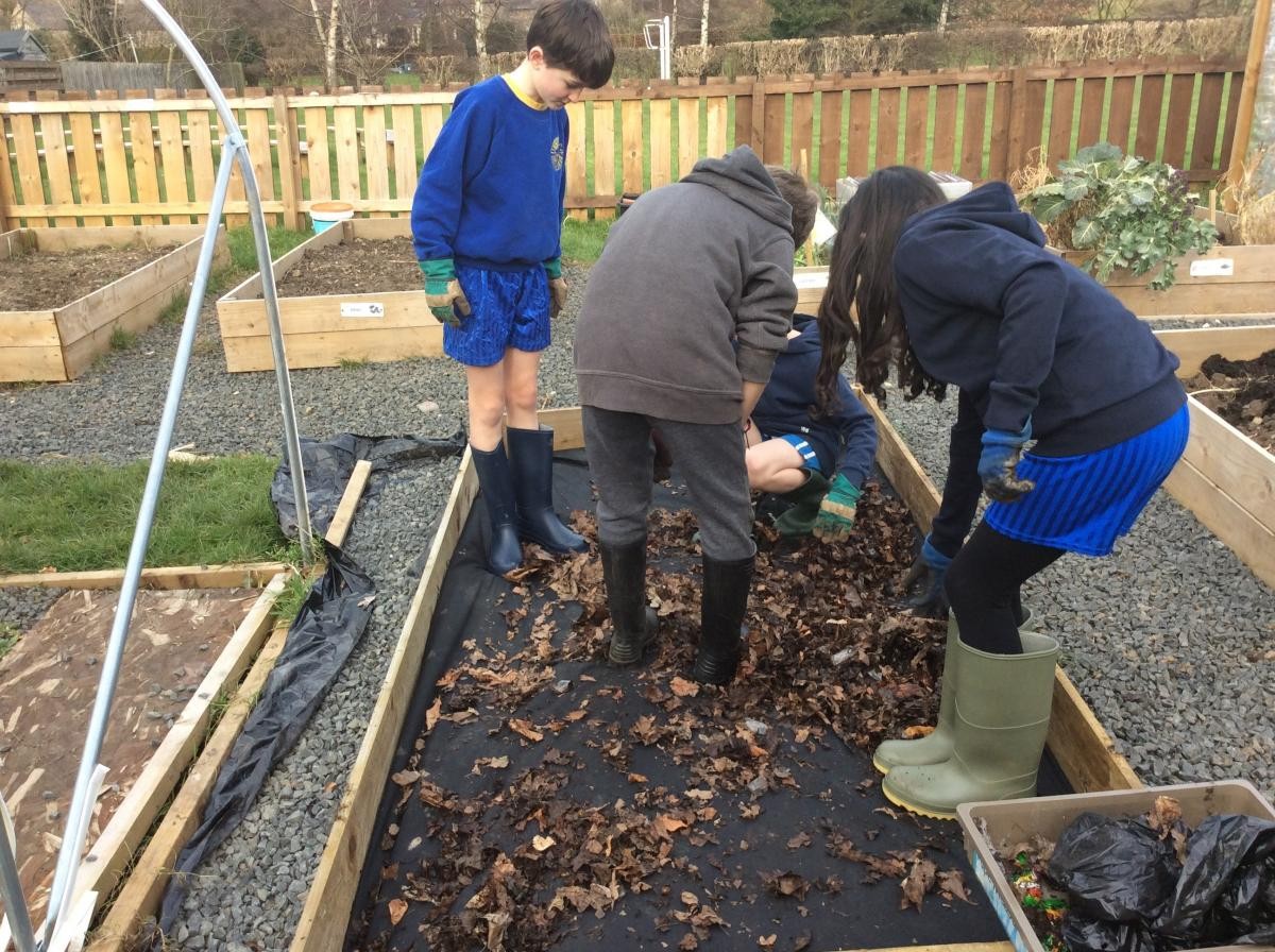 Looking through our leave compost, we made are own compost by collecting leaves from the school playground  in 2017.  