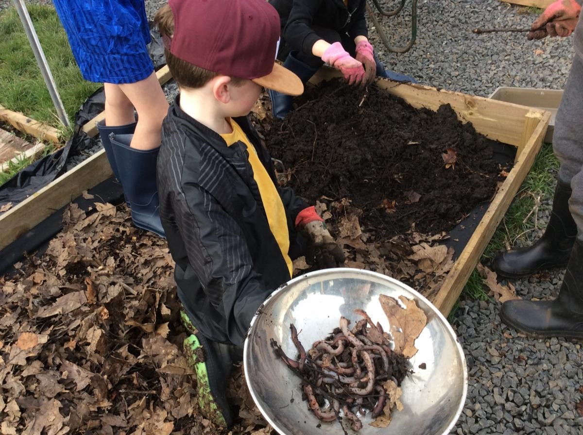 Look at all the earthworms the boys found in our new compost we made.
