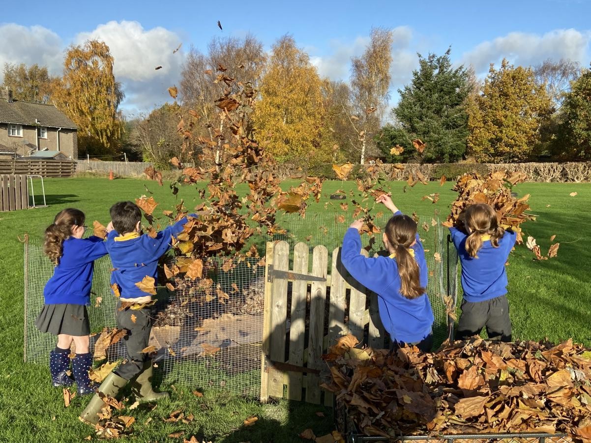 Collecting leaves to build our living wall.