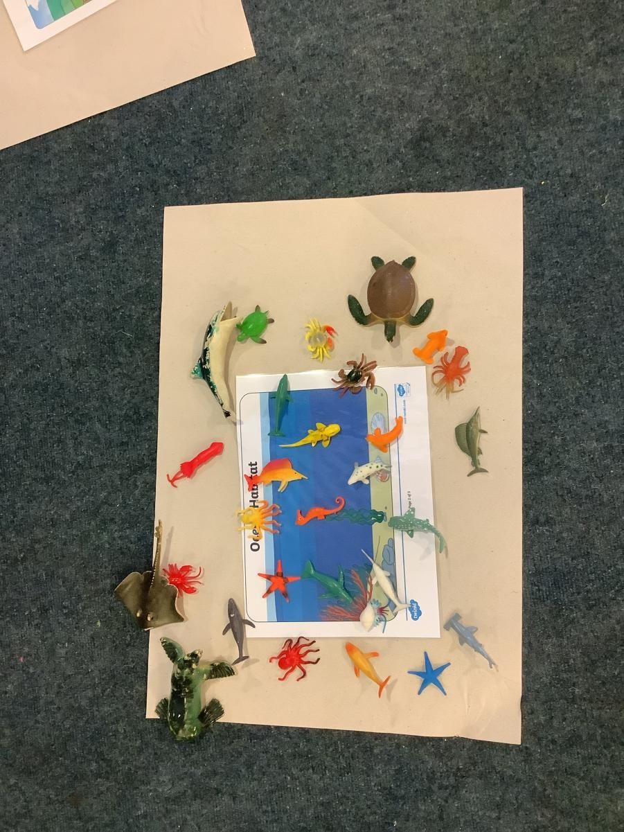 Exploring animals and their different habitats.