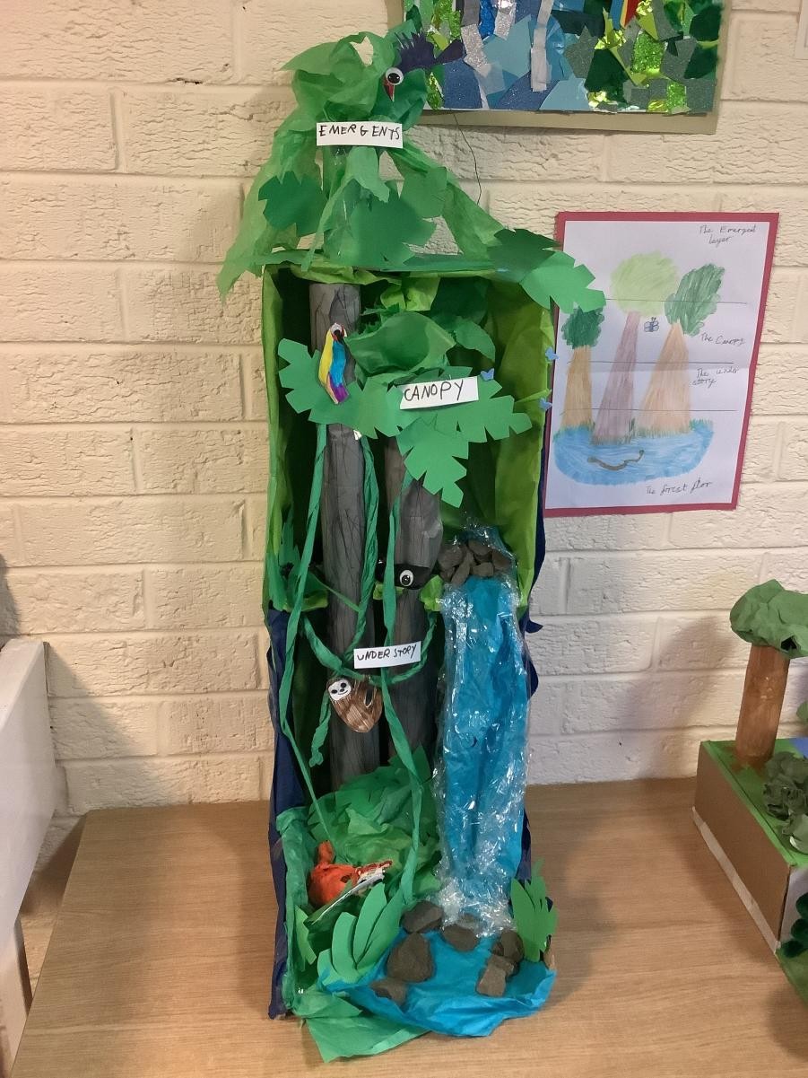 Fantastic Display - layers of a rainforest