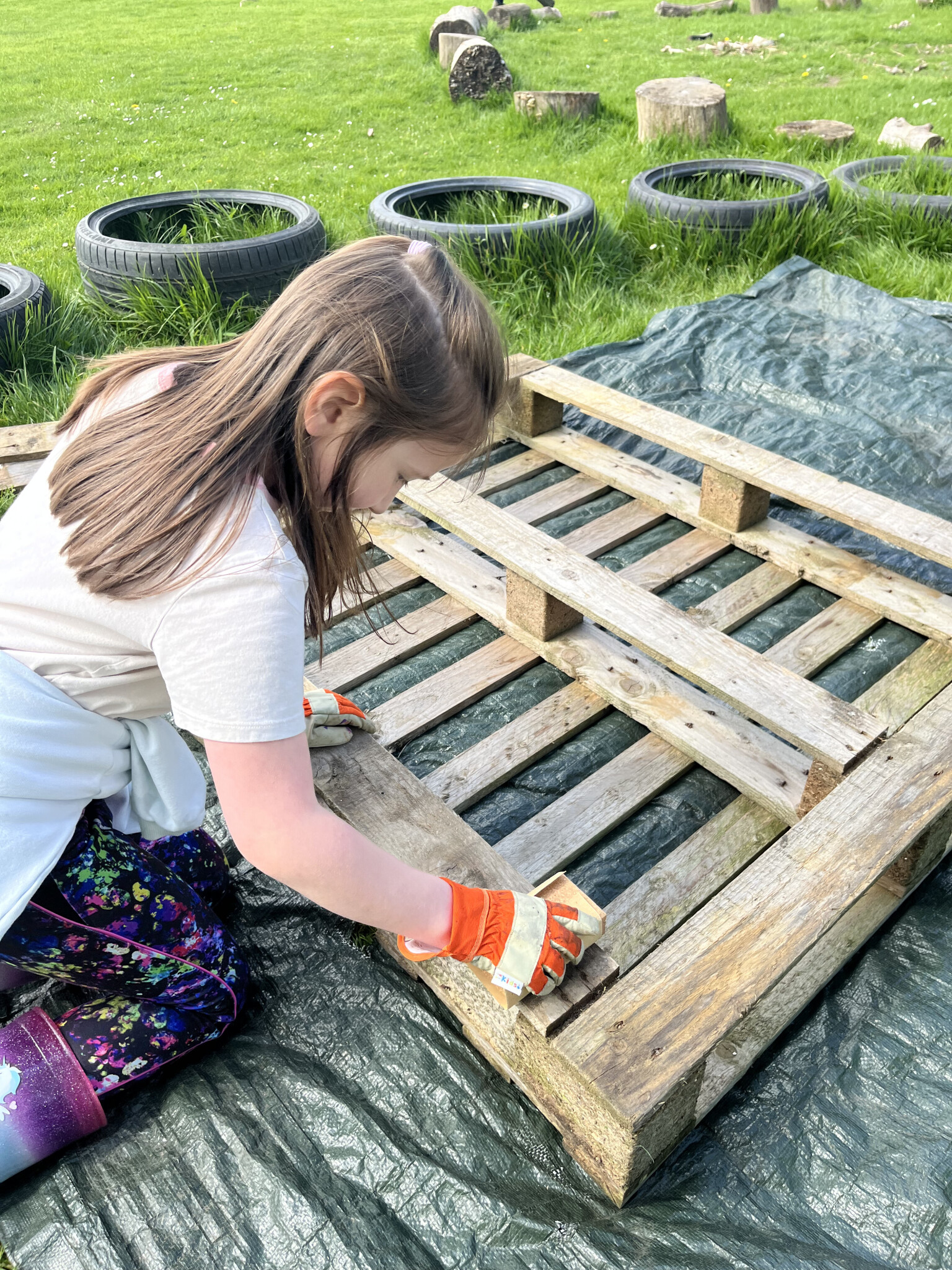 Forest School 2026