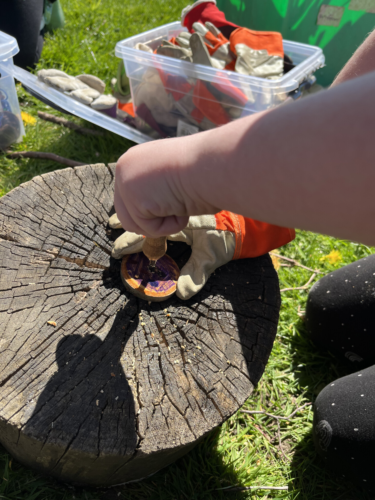 Forest School 2026