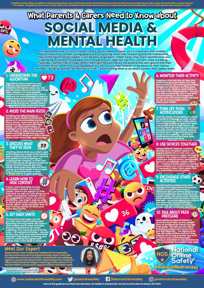 Guide to Online Mental Health