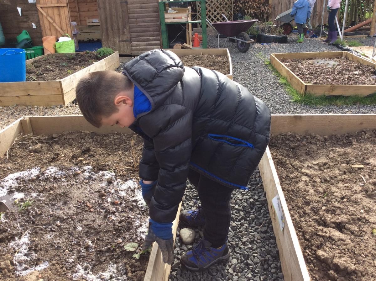 Mitchel helping weed and prepare our beds for planting.