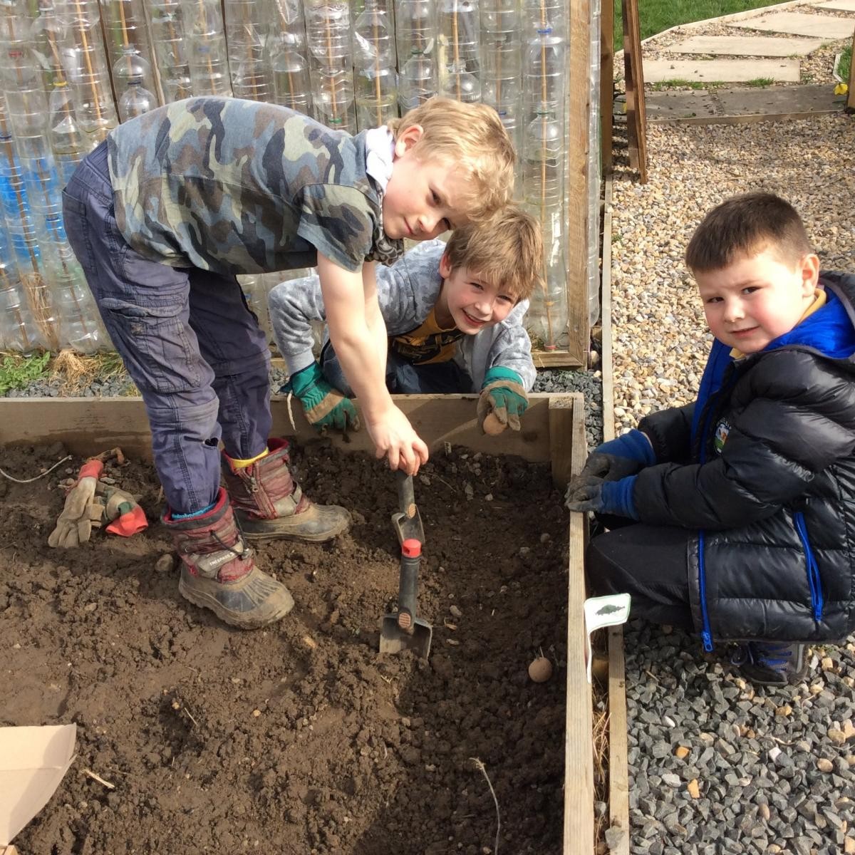 Callum, Mitchell and Harry sowing some spinach, kale and chard.