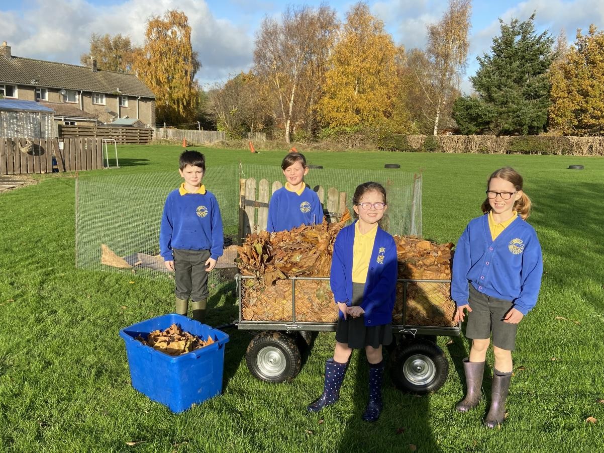 Collecting leaves to build our living wall.