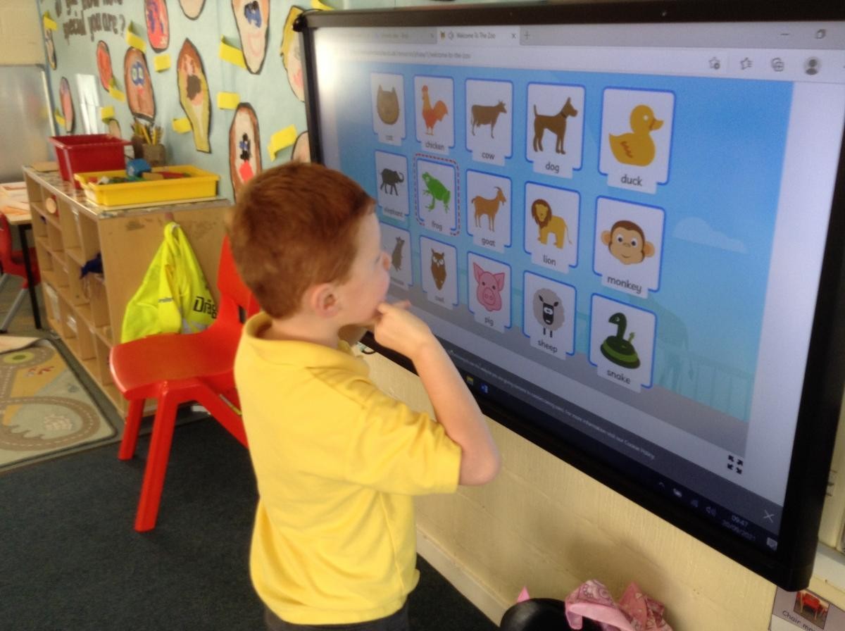 Reception  - Using the Interactive White Board