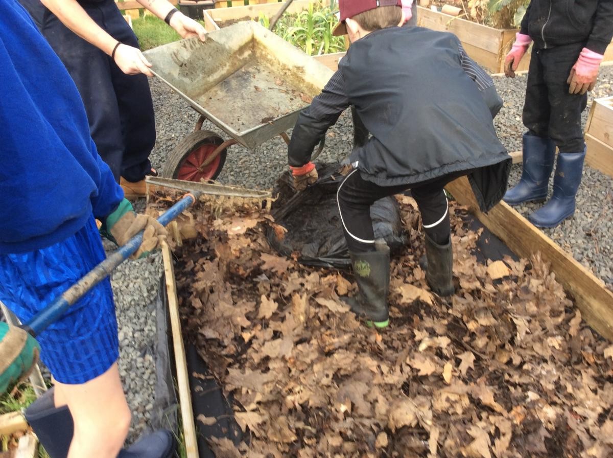 The children from Year Four sorted out the rubbish in the compost before raking into our new bed.