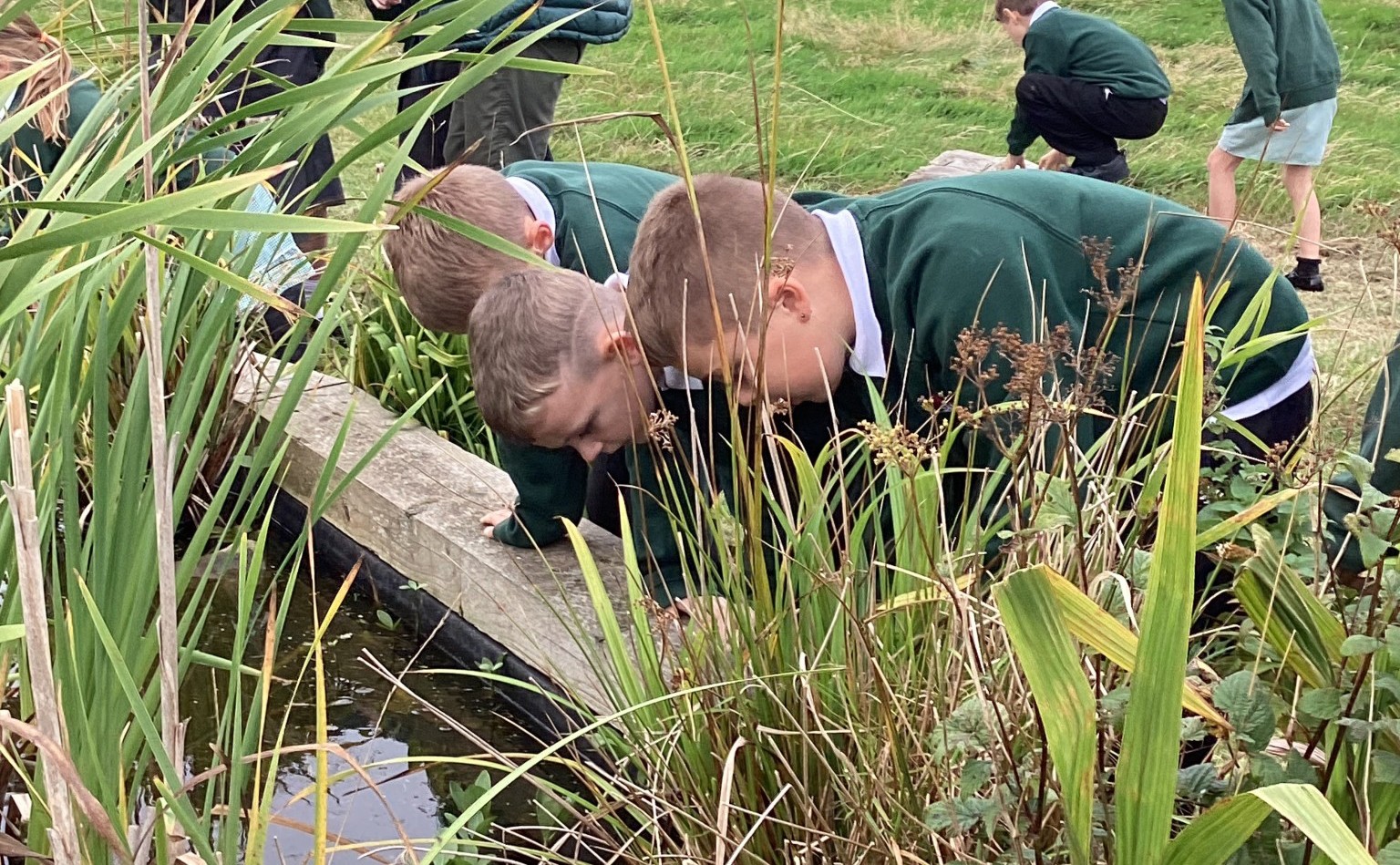 Boys expoloring pond