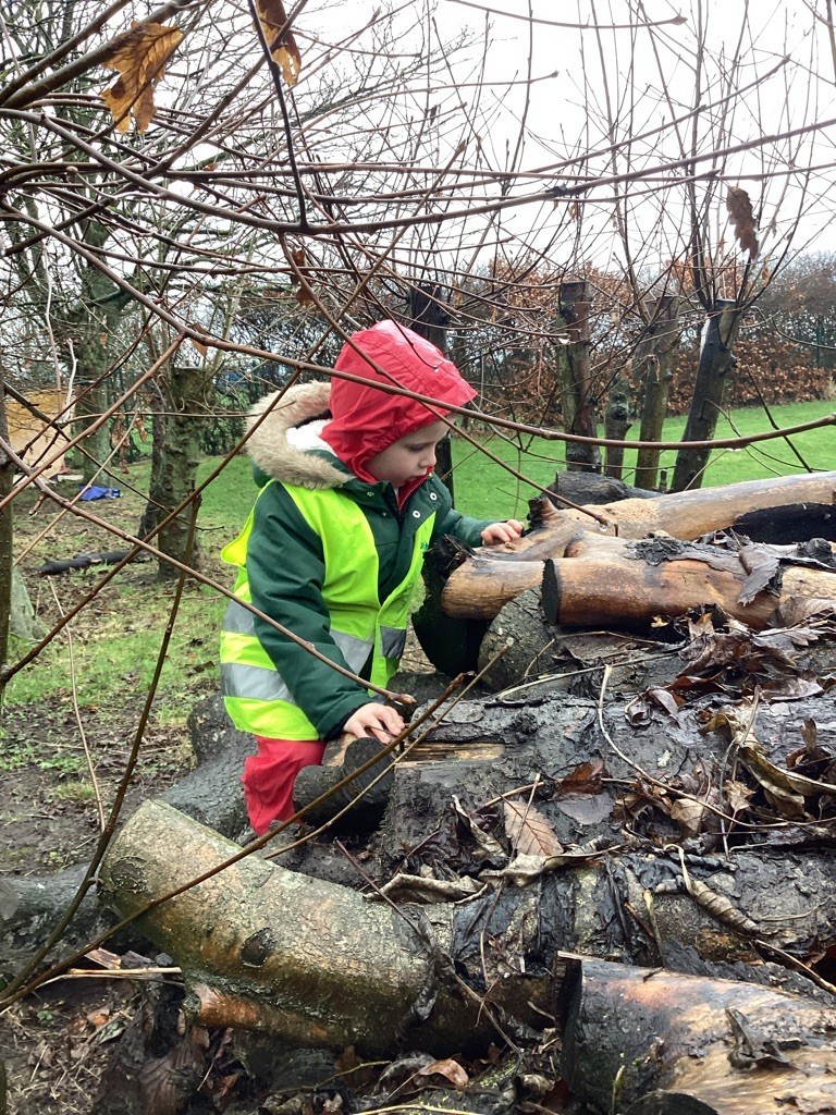 Forest School