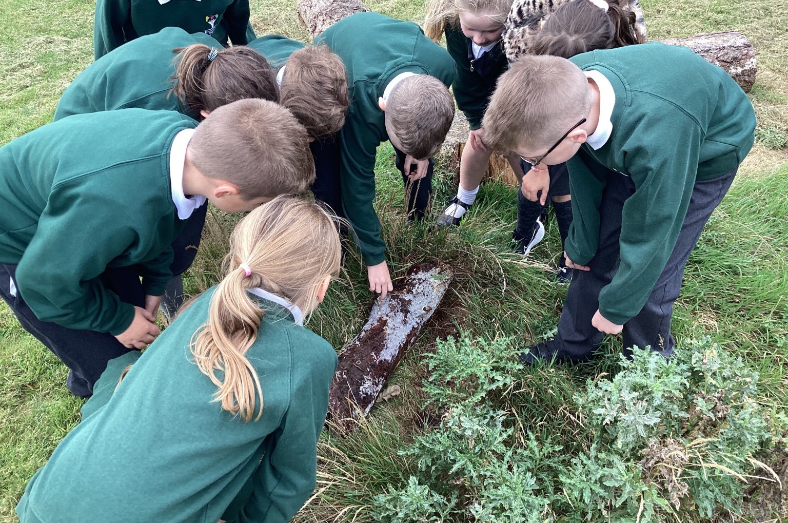 Children exploring nature