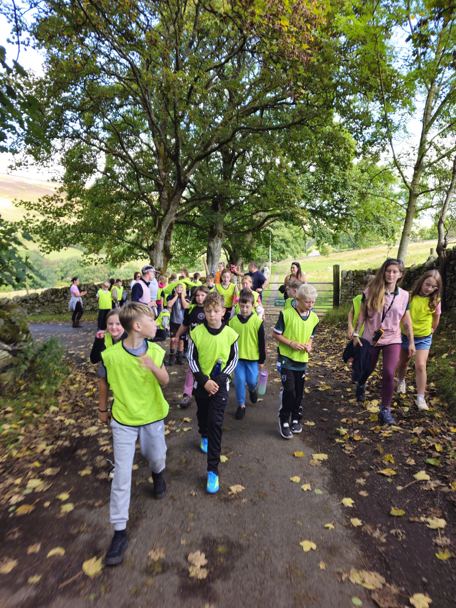 Robinwood fun!
