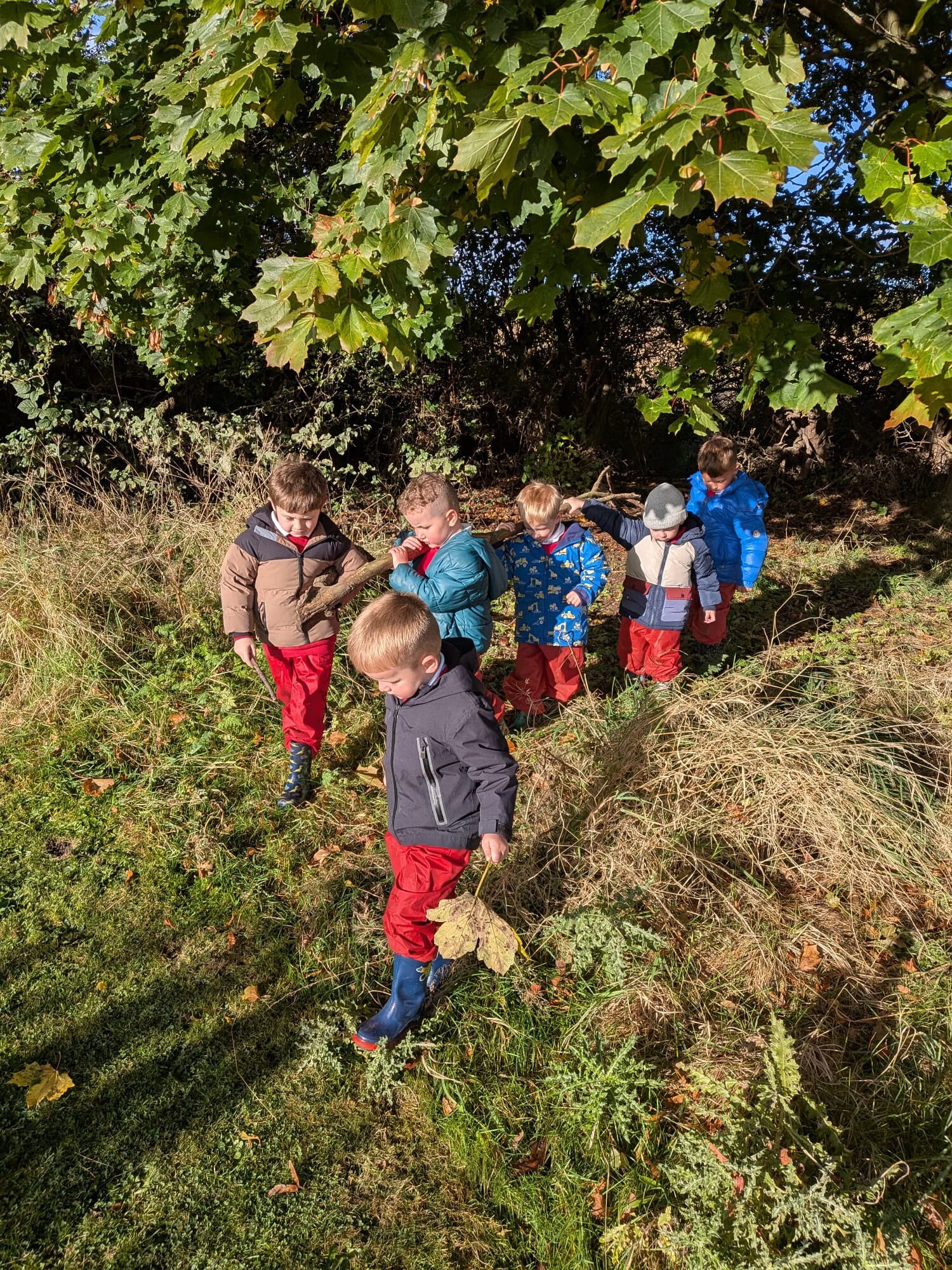 Forest School fun!
