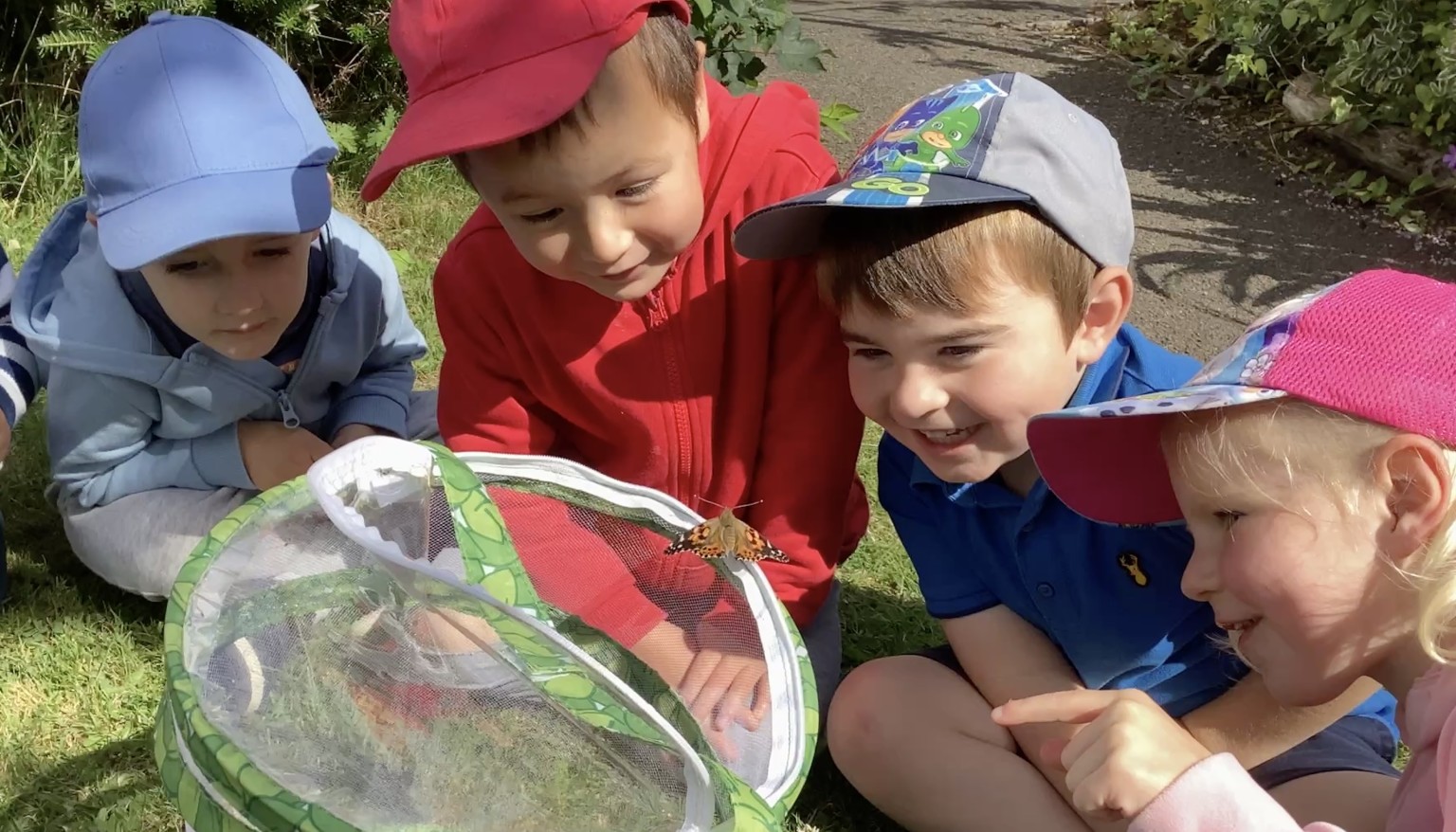 Releasing our class butterflies