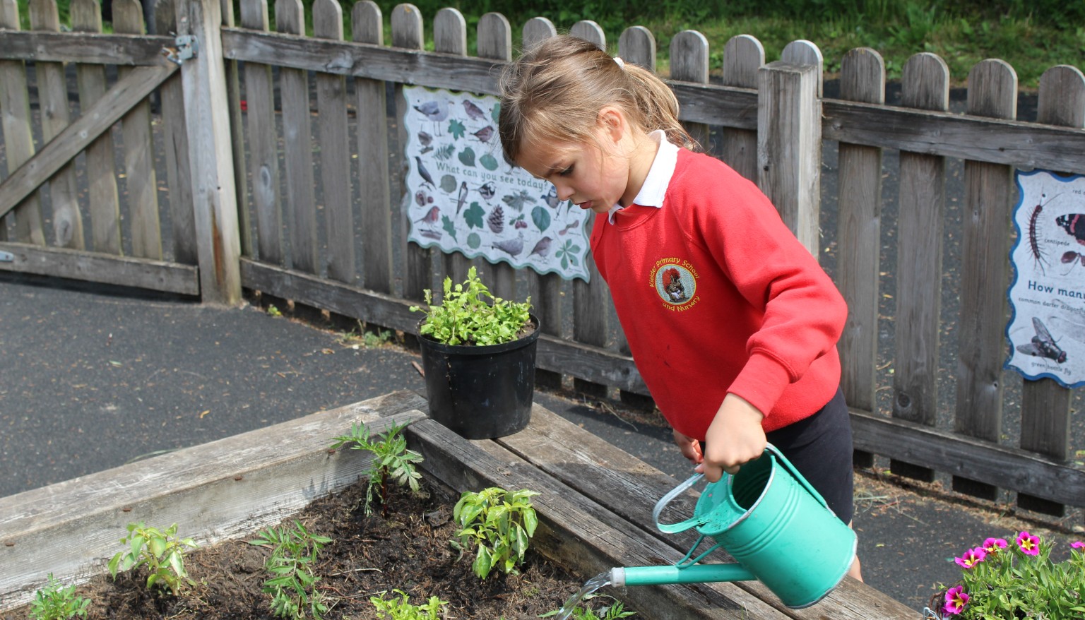 Child watering plants