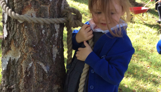 FOREST SCHOOL
