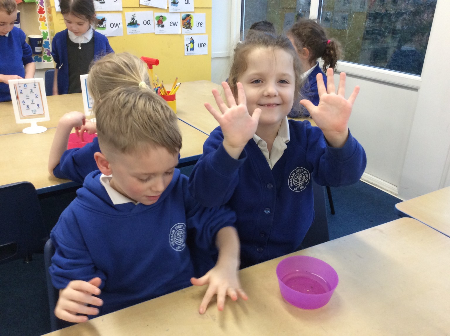 Experiment to see how washing our hands protects us from germs. 