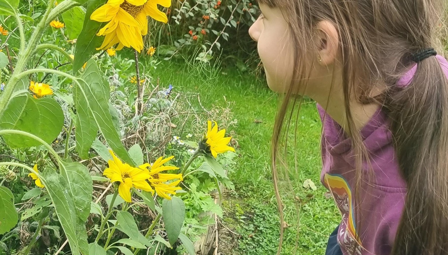 Forest School Fun!