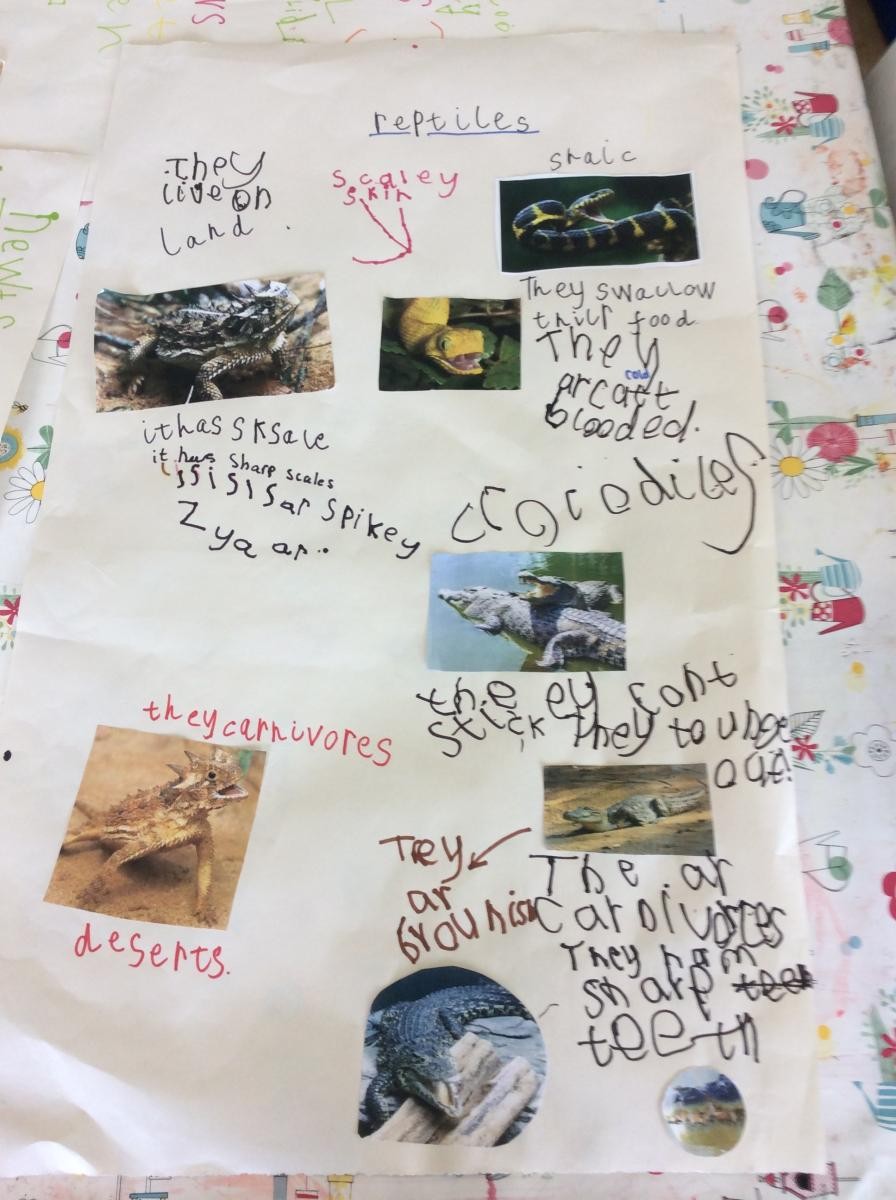 Year 1 Non-Fiction Writing