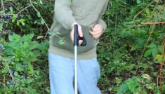 Forest School