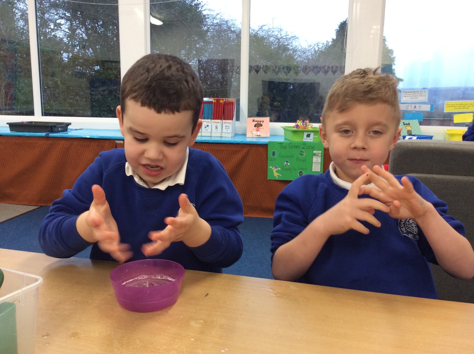 Experiment to see how washing our hands protects us from germs. 