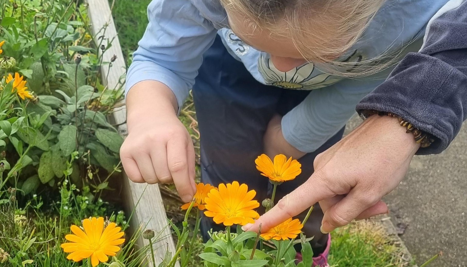 Forest School Fun!
