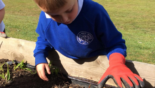 Gardening