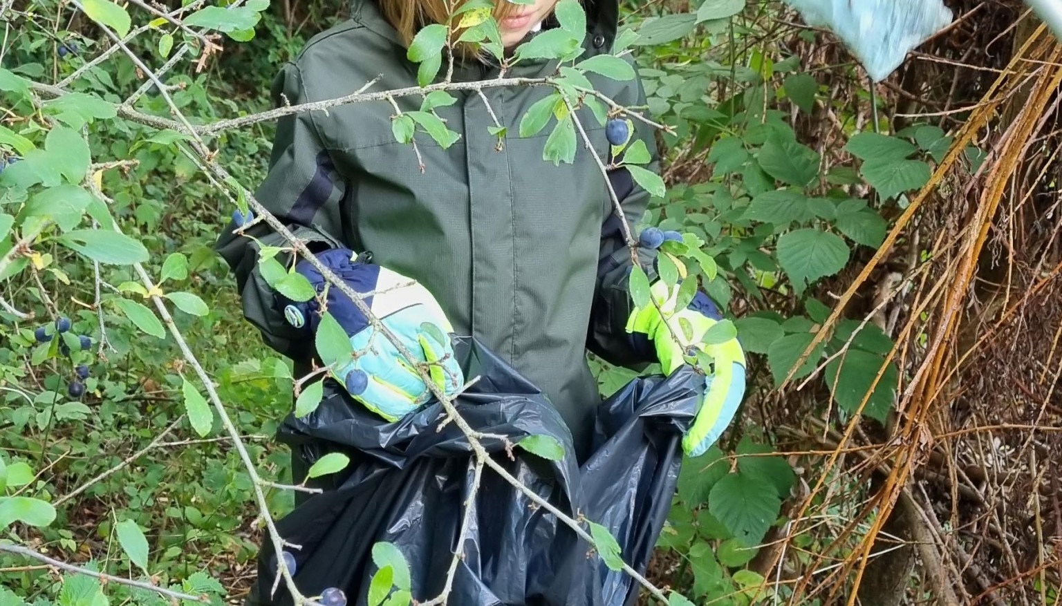 Forest School Fun!