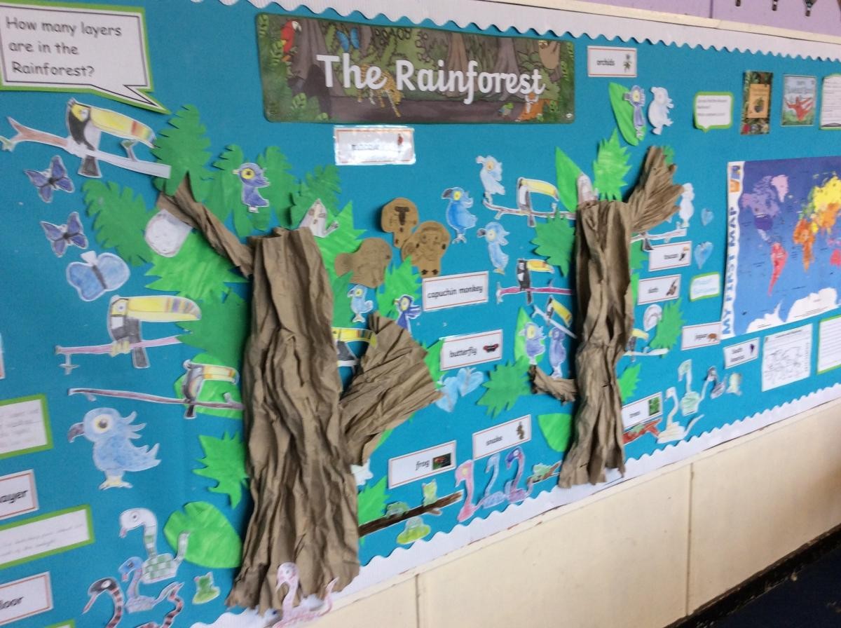 Year 3 - Kielder and Amazon unit. Identifying the Equator, Northern Hemisphere, Southern Hemisphere, the Tropics of Cancer and Capricorn. 