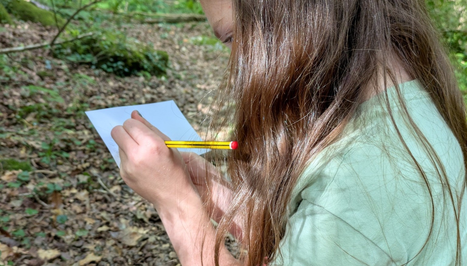 Time to reflect in the woods