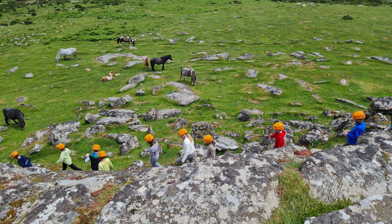 Climbing tors on residential