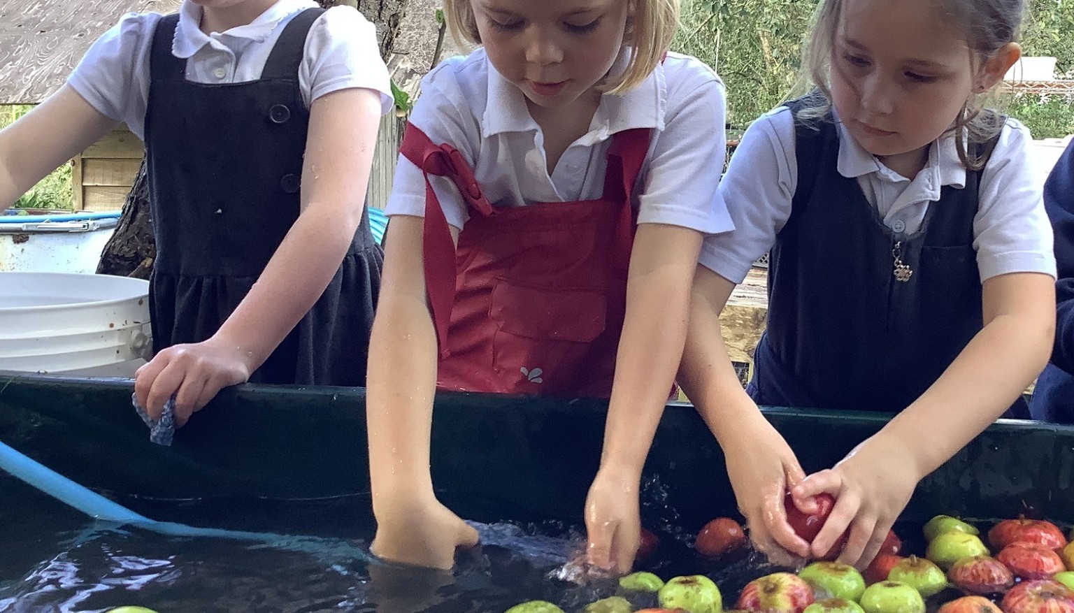 Apple juice making at the orchard