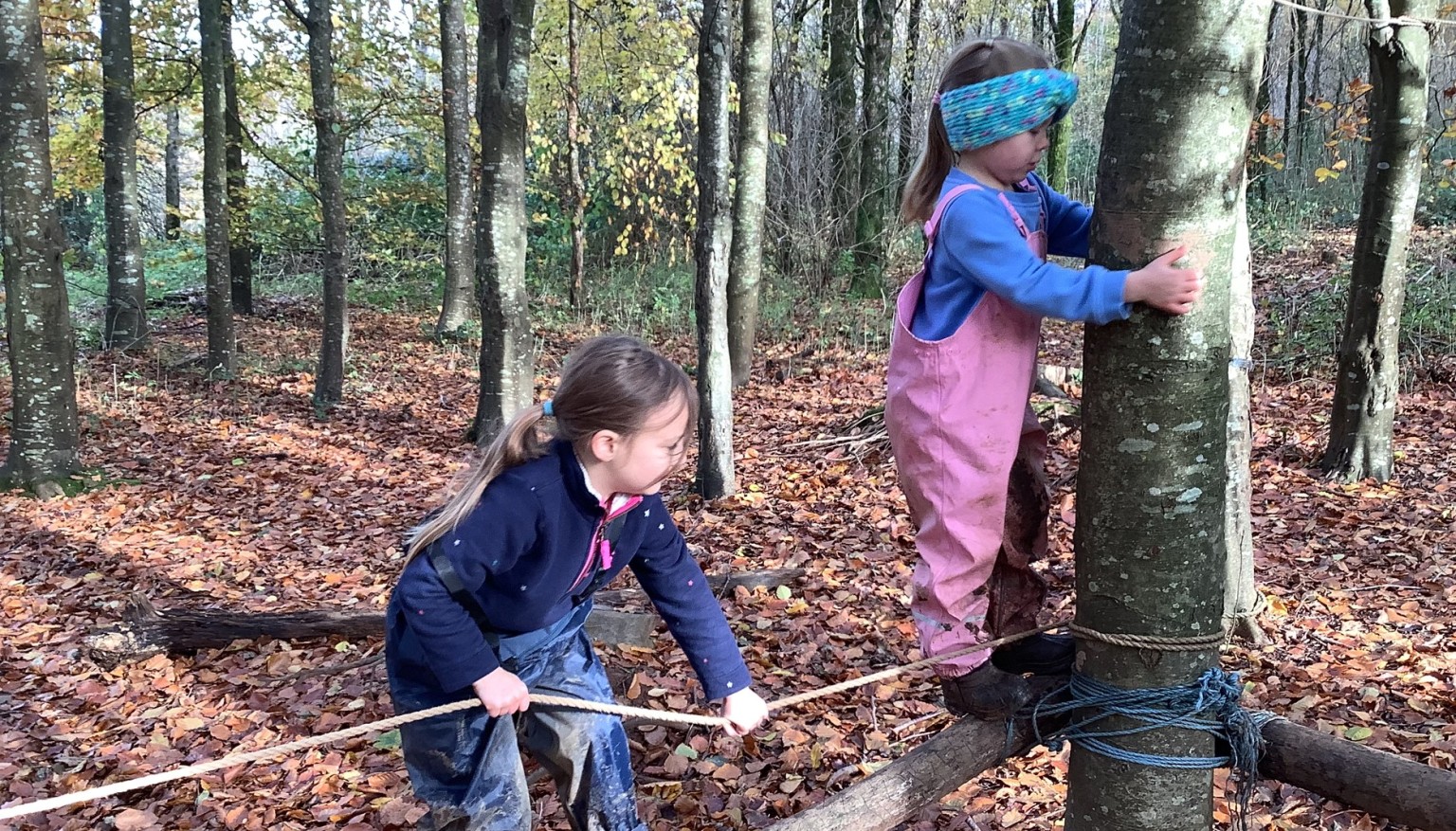Teamwork at forest school