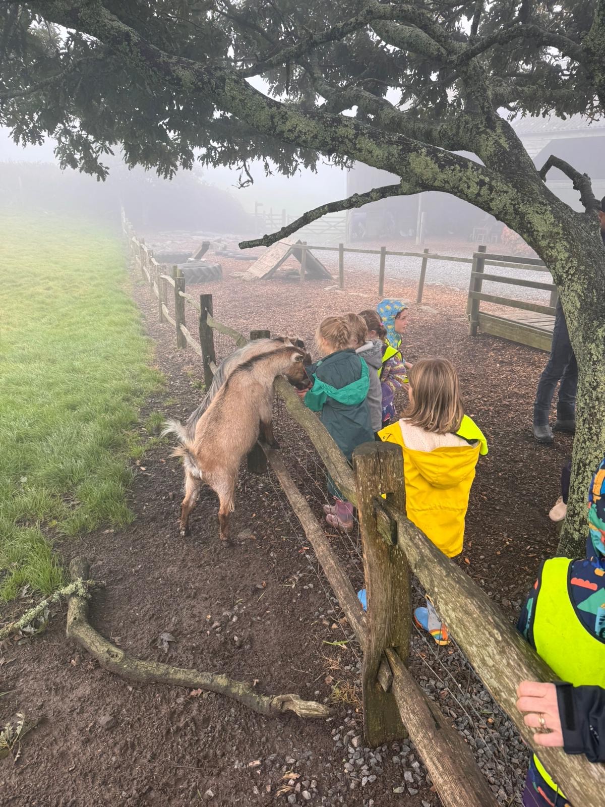 East soar farm