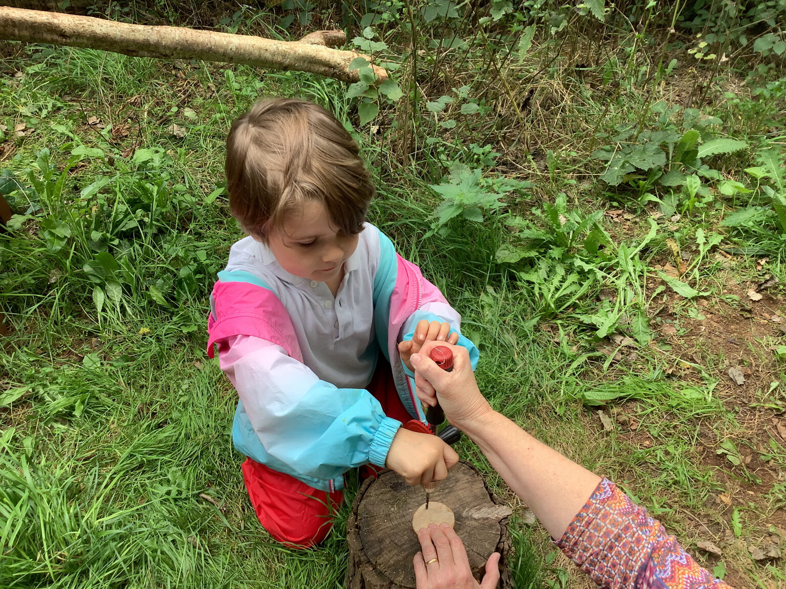 Forest School