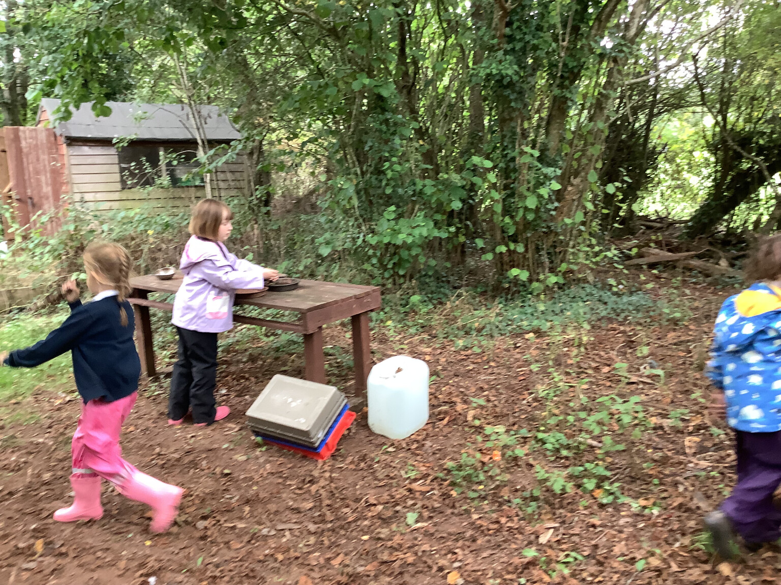 Forest School
