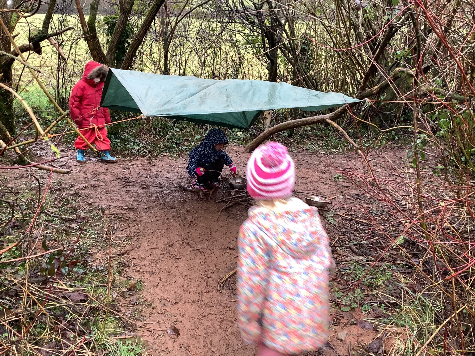 Forest school 