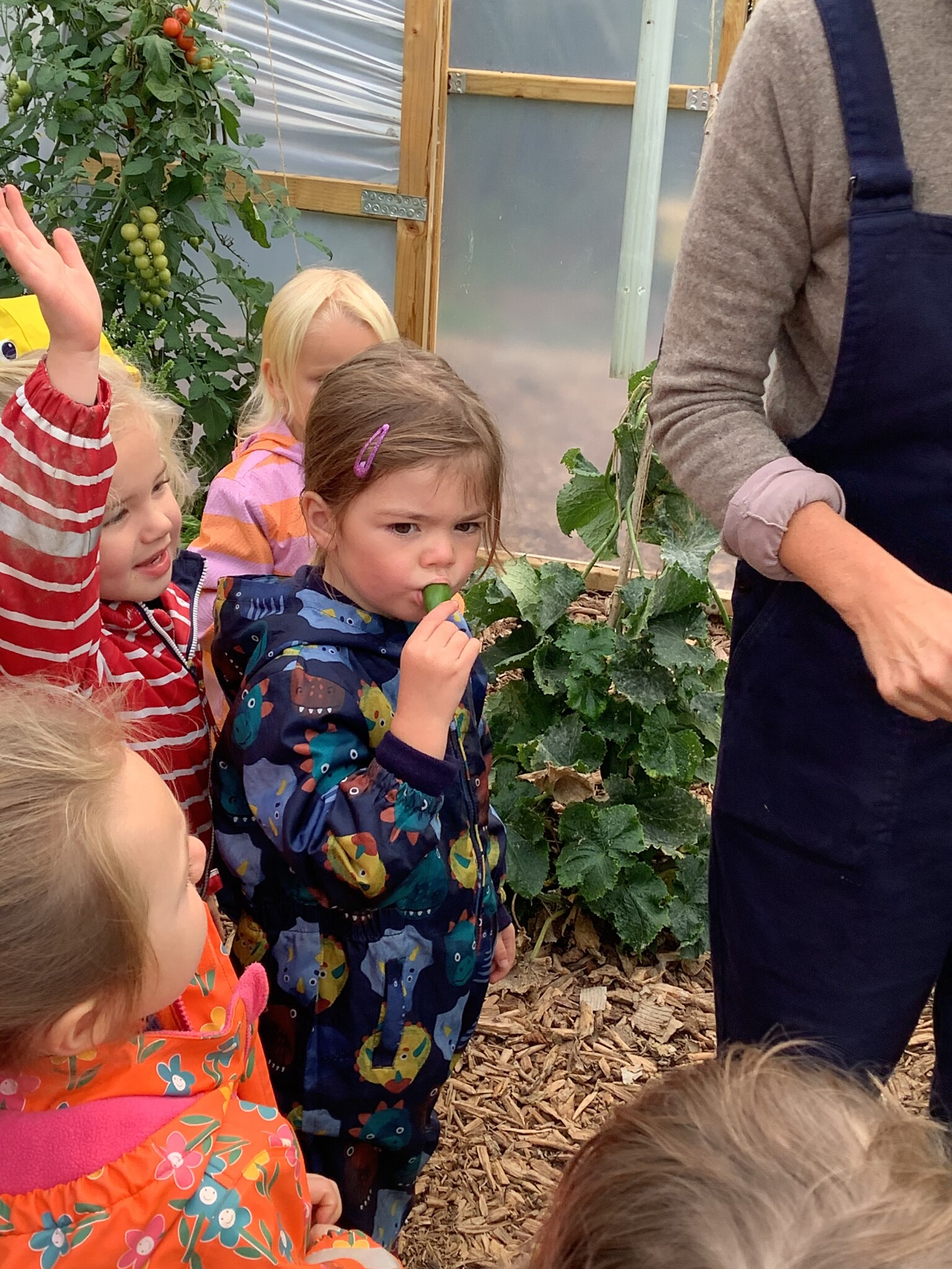 Gardening