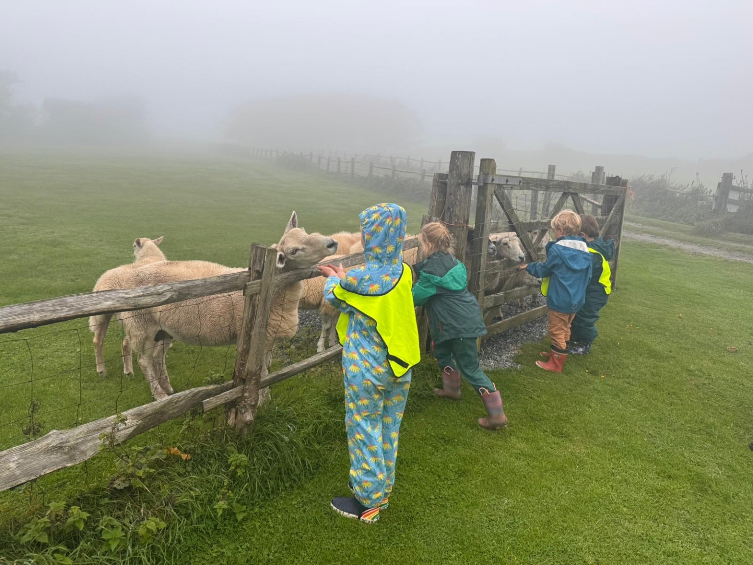 East soar farm